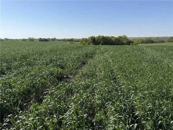 TBD H HWY, Darlington, MO 64438