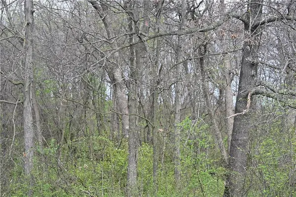 State Hwy C HWY, Other, MO 65259