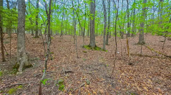 Lot #499 Grand View DR, Sunrise Beach, MO 65079
