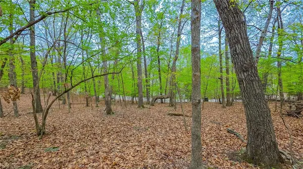 Lot #499 Grand View DR, Sunrise Beach, MO 65079