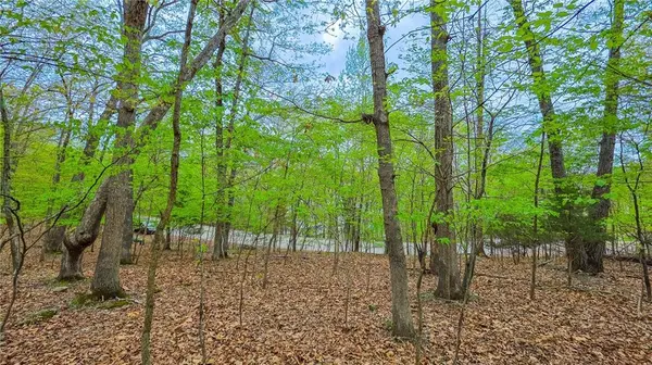 Lot #499 Grand View DR, Sunrise Beach, MO 65079