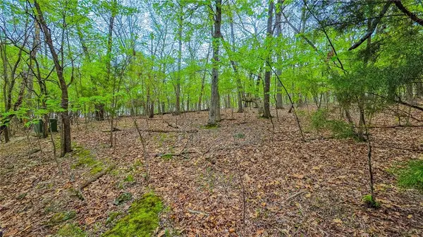 Lot #499 Grand View DR, Sunrise Beach, MO 65079