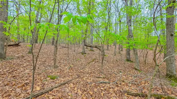 Lot #499 Grand View DR, Sunrise Beach, MO 65079
