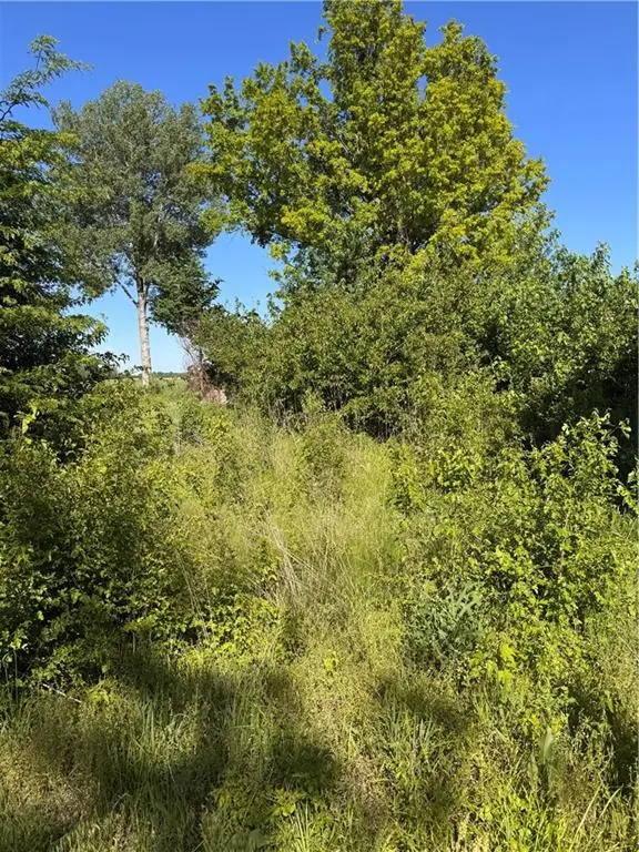 NA N/A, Levasy, MO 64066