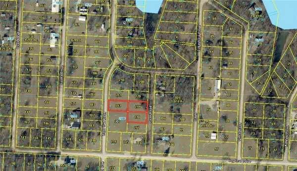 Plat C Lots 34,35&41 Barn Owl RD, Odessa, MO 64076