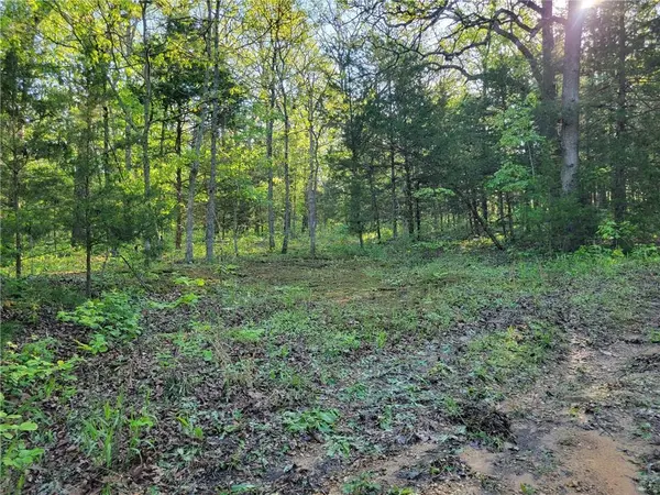 8780 SW 75 PVT RD, Osceola, MO 64776