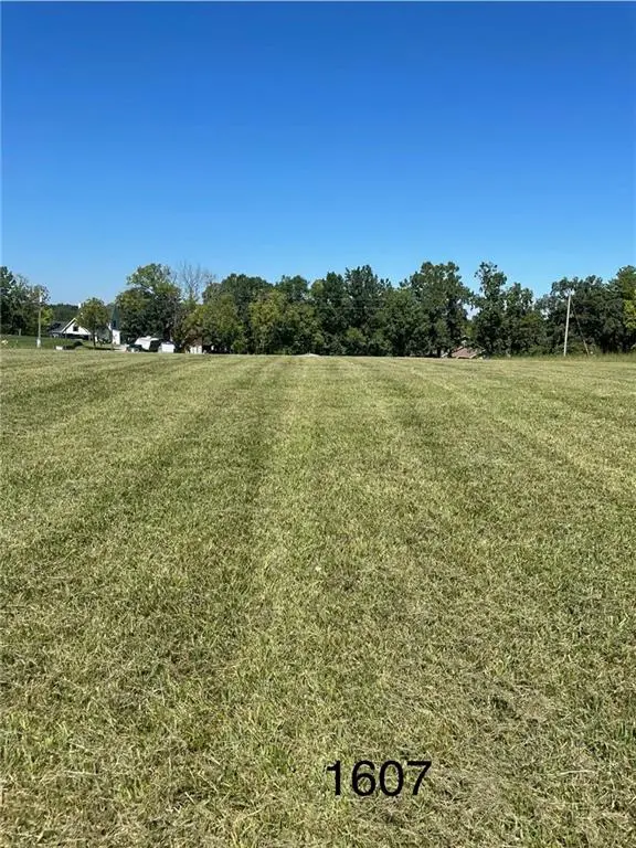 Lot 1607 Lake Viking TER, Altamont, MO 64620