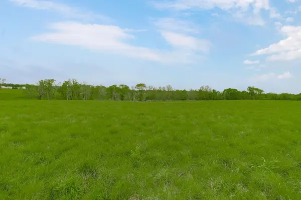 Lot 1A Timber Valley 203rd ST, Pleasant Hill, MO 64080