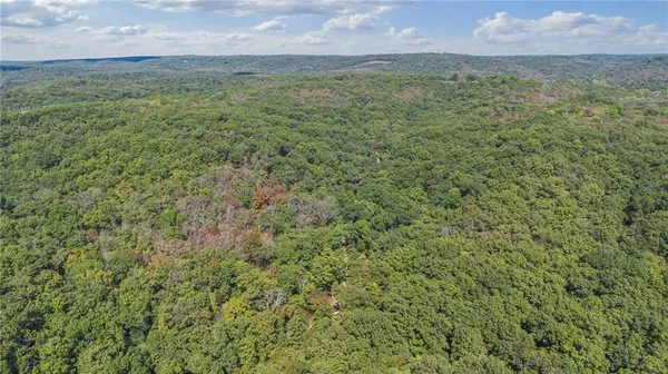80 +/- Acres Proctor LN, Gravois Mills, MO 65037