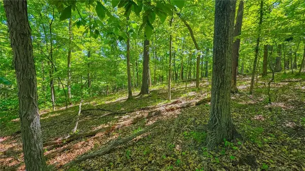Lot #1190 Spring Creek DR, Sunrise Beach, MO 65079
