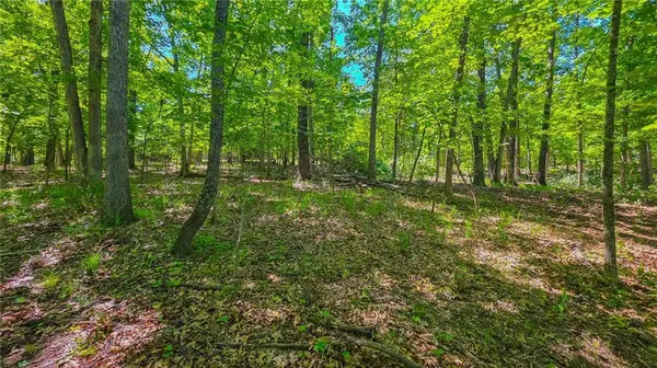 Lot #1190 Spring Creek DR, Sunrise Beach, MO 65079
