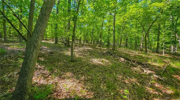 Lot #1190 Spring Creek DR, Sunrise Beach, MO 65079