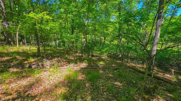 Lot #1190 Spring Creek DR, Sunrise Beach, MO 65079