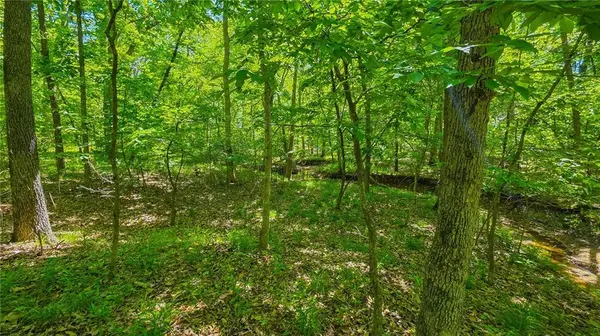 Lot #1148 Spring Creek DR, Sunrise Beach, MO 65079