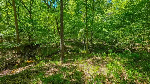 Lot #1148 Spring Creek DR, Sunrise Beach, MO 65079