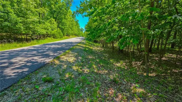 Lot #1148 Spring Creek DR, Sunrise Beach, MO 65079