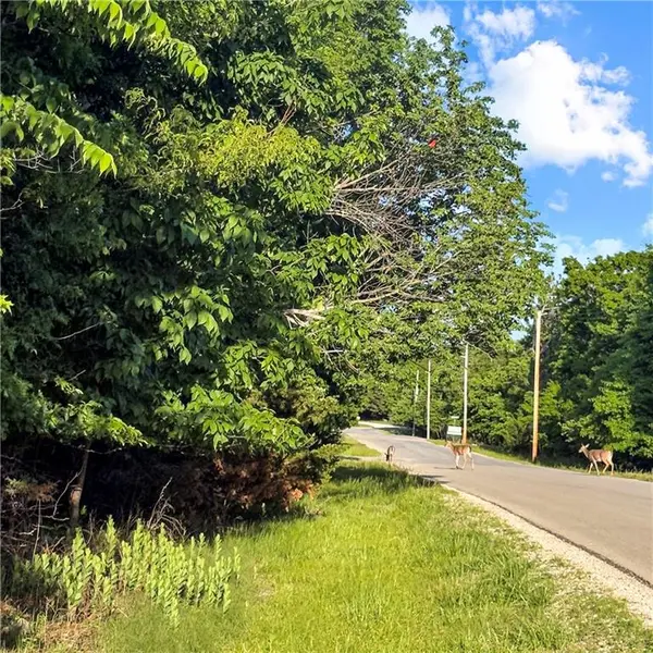 178 Mystic Valley N/A, Linn Valley, KS 66040