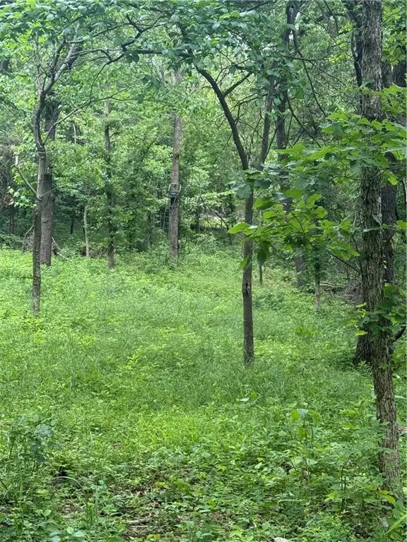SE 1100 RD, Deepwater, MO 64760