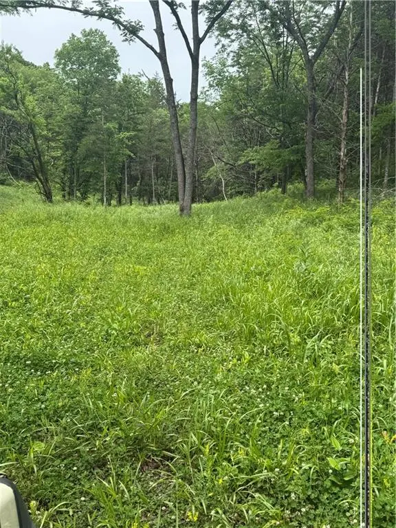 SE 1100 RD, Deepwater, MO 64760