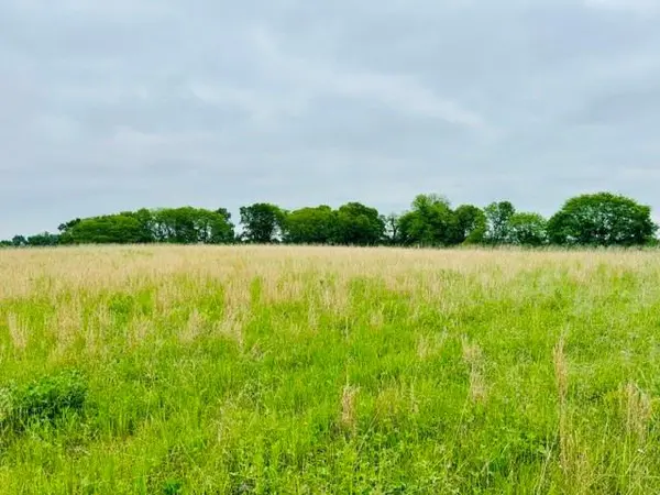 11.63 Ac m/l SW 225th ST, Plattsburg, MO 64477