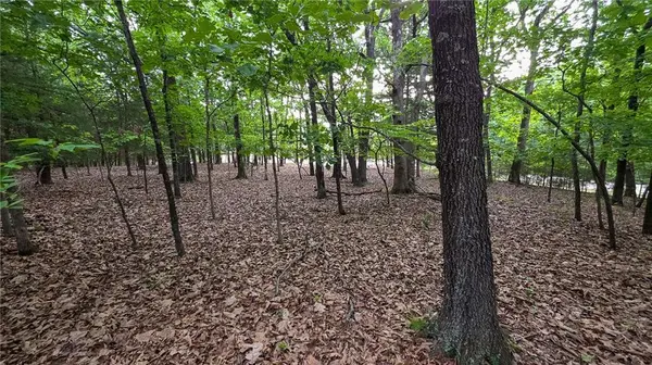 Lot #1352 Champion DR, Sunrise Beach, MO 65079