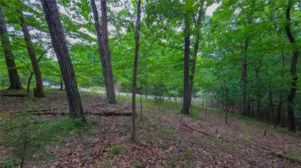Lot #850 Grand Cypress CT, Sunrise Beach, MO 65079