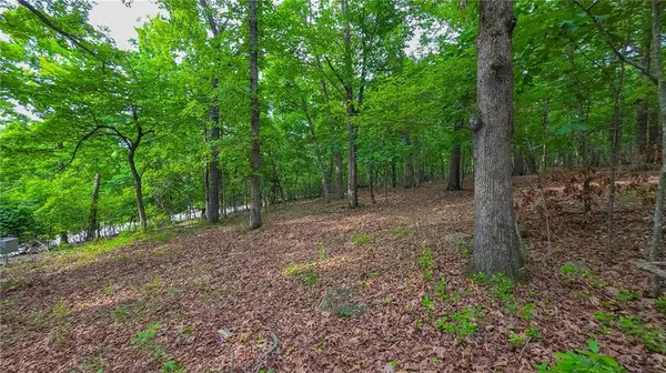 Lot #469 Grand View DR, Sunrise Beach, MO 65079