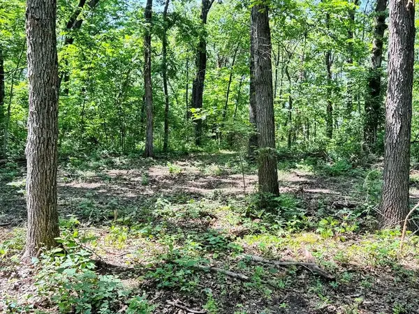 TBD1 E 1550 RD, Jerico Springs, MO 64756