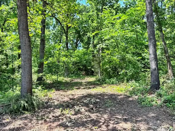 TBD1 E 1550 RD, Jerico Springs, MO 64756