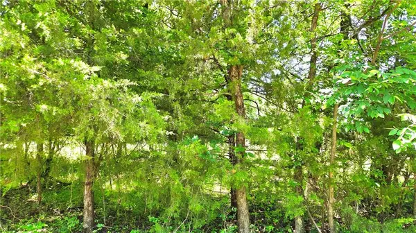 1 Shady Hollow DR, Linn Valley, KS 66040