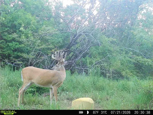 1673 17th RD, Waverly, KS 66871