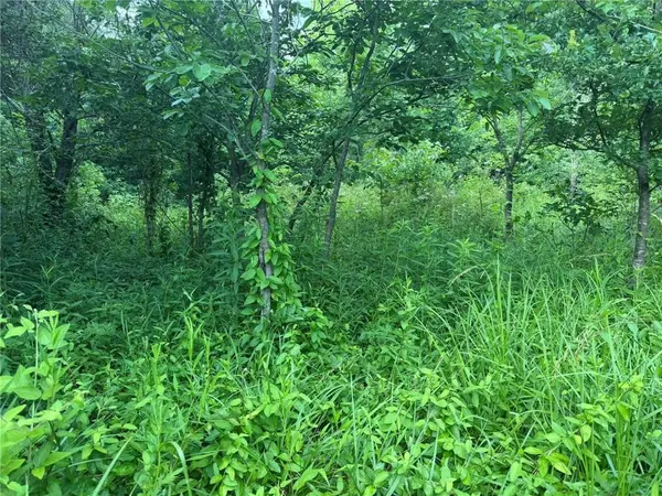 1601 RD, Montrose, MO 64770