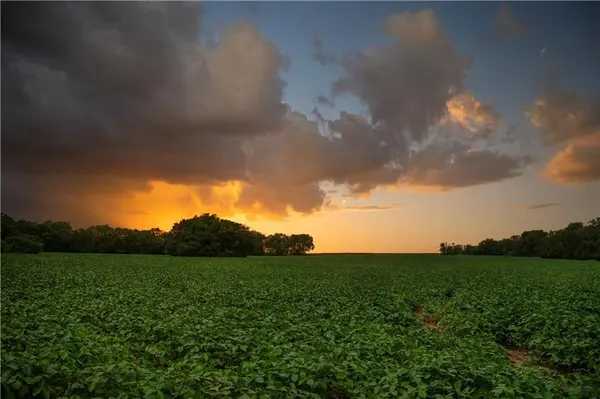 TBD RD, Hume, MO 64752