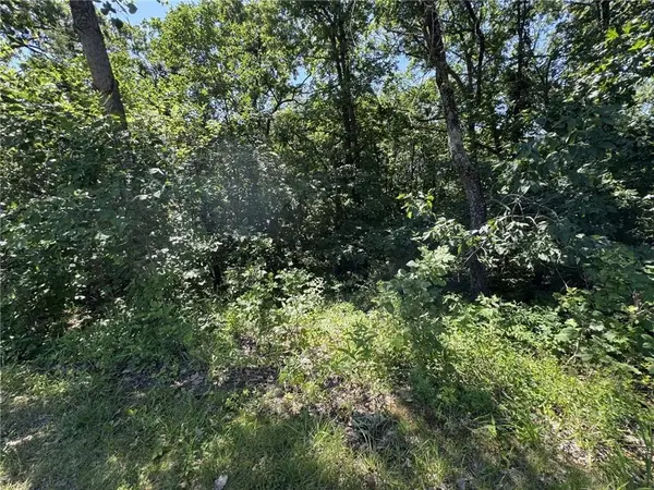 lot 65 SE 591 RD, Warrensburg, MO 64093