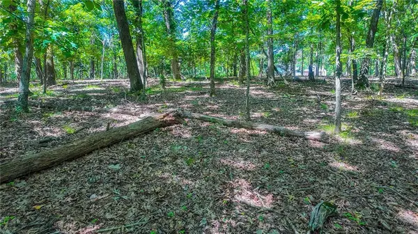 Lot #1318 Champion CT, Sunrise Beach, MO 65079