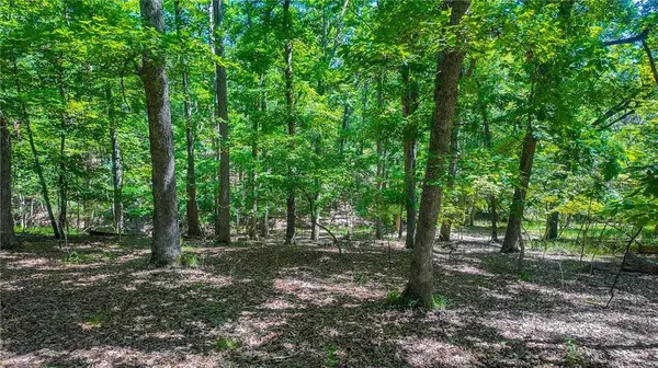 Lot #1318 Champion CT, Sunrise Beach, MO 65079