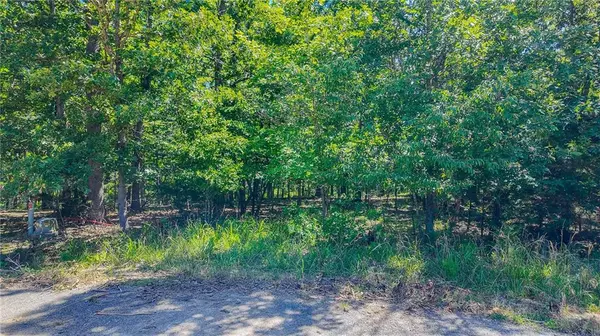 Lot #1318 Champion CT, Sunrise Beach, MO 65079