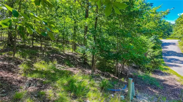 Lot #902 Muirfield DR, Sunrise Beach, MO 65079