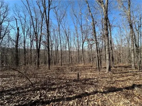 LOTS 3155,3156,3101 Rolfs PL, Edwards, MO 65326