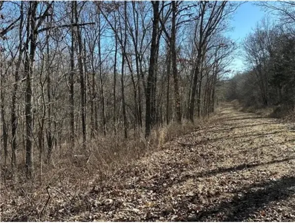 LOTS 3155,3156,3101 Rolfs PL, Edwards, MO 65326
