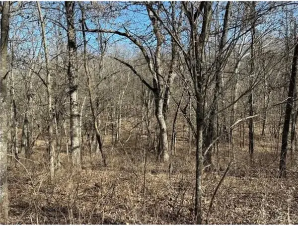 LOTS 3155,3156,3101 Rolfs PL, Edwards, MO 65326
