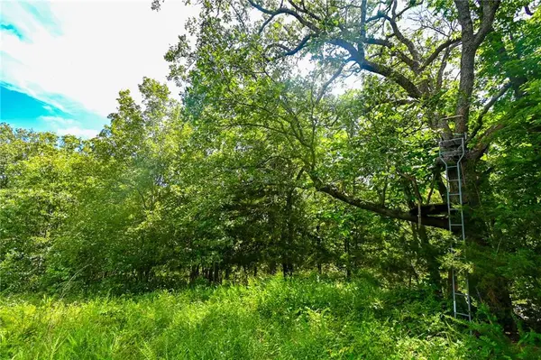 5760 NE 871 Private Road RD, Osceola, MO 64776