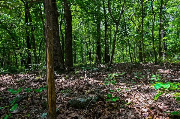 5760 NE 871 Private Road RD, Osceola, MO 64776