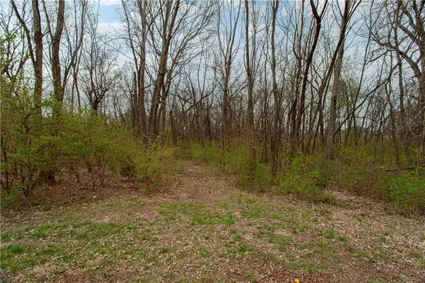 802 SE Willow Ridge DR, Blue Springs, MO 64014