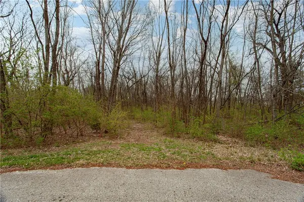 802 SE Willow Ridge DR, Blue Springs, MO 64014