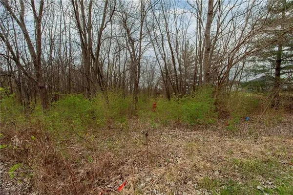 802 SE Willow Ridge DR, Blue Springs, MO 64014