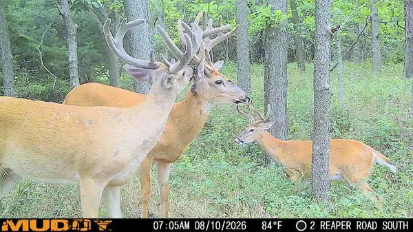 00000 Reaper RD, Waverly, KS 66871