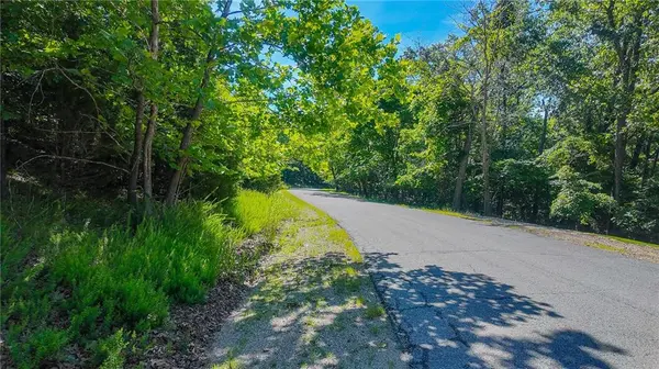Lot #251 Grand Cove RD, Sunrise Beach, MO 65079