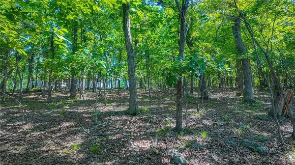 Lot #251 Grand Cove RD, Sunrise Beach, MO 65079