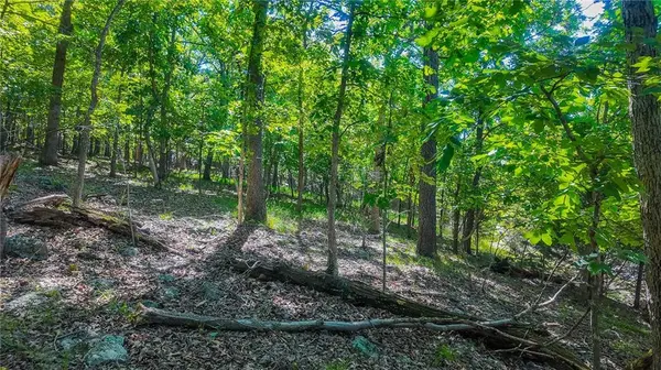 Lot #251 Grand Cove RD, Sunrise Beach, MO 65079